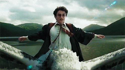 Фанаты собрали главные загадки книг о Гарри Поттере